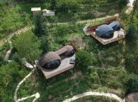 Himalayan Trove