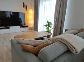 Modern 3-room near Hedehusene St