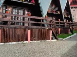 Chalet A Frame Sinaia