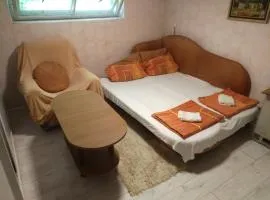 Exit festival house stay