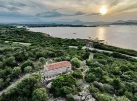 L'isola che non c'è NG Collection