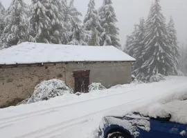 Casa Richardette Relax in the Woods