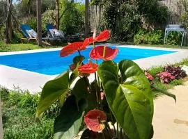 Olive and Blue Retreat