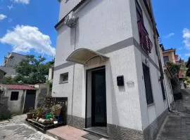 Carol Home