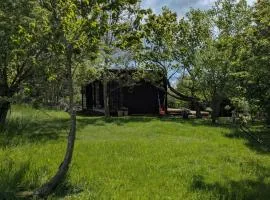 Tiny House Overlooking Nature