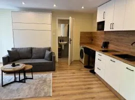 Apartament i Pokoje Gościnne u Lusi - BASEN z podgrzewaną wodą