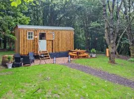 1 Bed in Newport 94188