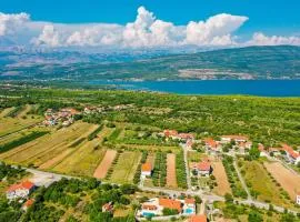 Amazing Home In Pridraga