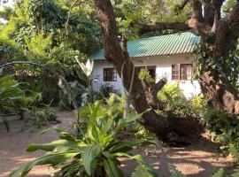 Moz-Tree Inn, hotel v destinaci Ponta do Ouro