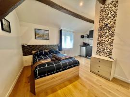 Charme & calme en Centre ville à pied avec parking gratuit - Studio Oslo, hotel in Châtellerault