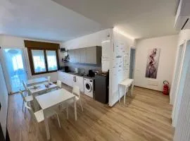 Cecia's House