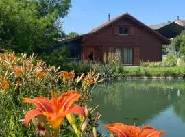 Chalet au bord d'un étang