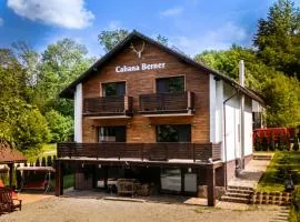 CABANA BERNER stațiunea Mogoșa