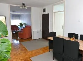 Apartman Karadjordjevo