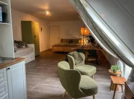 Studio lodge de groene specht bij Bolmeer Lodges