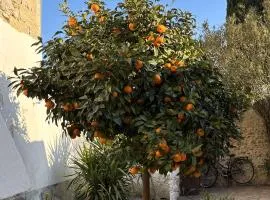 La fleur d'oranger