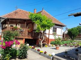 Casa Teonia، كوخ في تاشناد