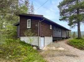 Nice Home In Åseral With House A Mountain View