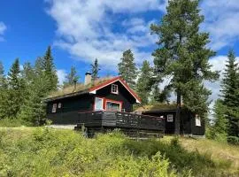 Enjoy Traditional, Norwegian Cabin Coziness