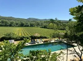 Large Estate With A Pool Overlooking The Vineyards