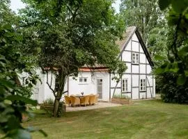 Old Steward's Home Surrounded By Nature