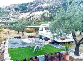 Olive Grove Mountain Caravan