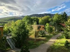 Discover The Harz National Park From A Tree House
