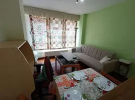 Bonito apartamento en pleno centro VUT-PO-7494