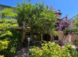 Apartments&Rooms Pahljina