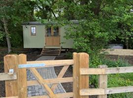 Dreamers Hut, chalet i Dipton