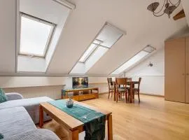 Old Town Traku street apartment