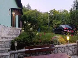 House Sarajevo