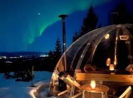 Glass Igloo With Panoramic Views In Åsbygda