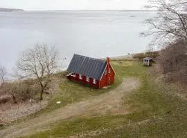 Nature Gem 5 Metres From Limfjord