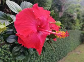 La Perle de Moorea Fare moana, Hotel in Orufara