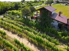 Holiday house with a parking space Mandicevac, Slavonija - 24644