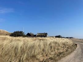 13,000 Sqm Nature Plot Right Down To The Beach, hotel in Ringkøbing