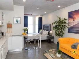 Cozy New Studio Excellent Location