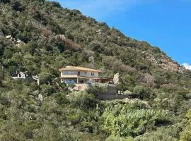 Secluded Villa With Sea View In Palombaggia