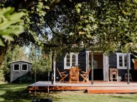 Cottage Life In Intimate Wooden Cabin