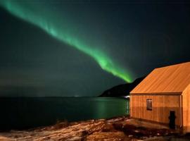 Beautiful Cabin With Sauna And Jacuzzi On Senja, Hotel in Medby