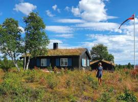 Mountain Cabin With Wood-Fired Sauna And A View, hotel i Golsfjellet