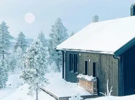 Panoramic Cabin At Fulufjellet With Ski In Ski Out