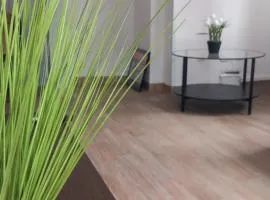 Klaipėdos centras 24