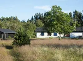 Dune House Near Bulbjerg