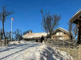 Large Log Cabin, Ski Fun Near Dagali, khách sạn ở Dagali