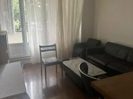 apartment near metro Villejuif louis Aragon