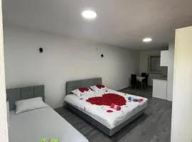 Vozucica apartman za 3 osobe