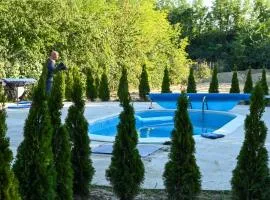 The Woodland pool house