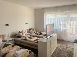 2-Zimmer-Wohnung mit Balkon in der City